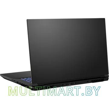 Игровой ноутбук Colorful EVOL X17 PRO MAX (A10205400061) картинка 7